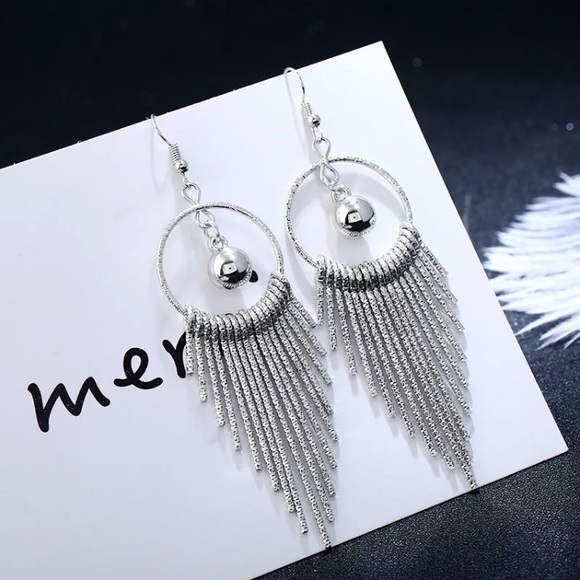 Big Silver Earrings - Picture 1 of 5
